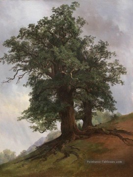 vieux chêne 1866 paysage classique Ivan Ivanovitch arbres Peinture à l'huile